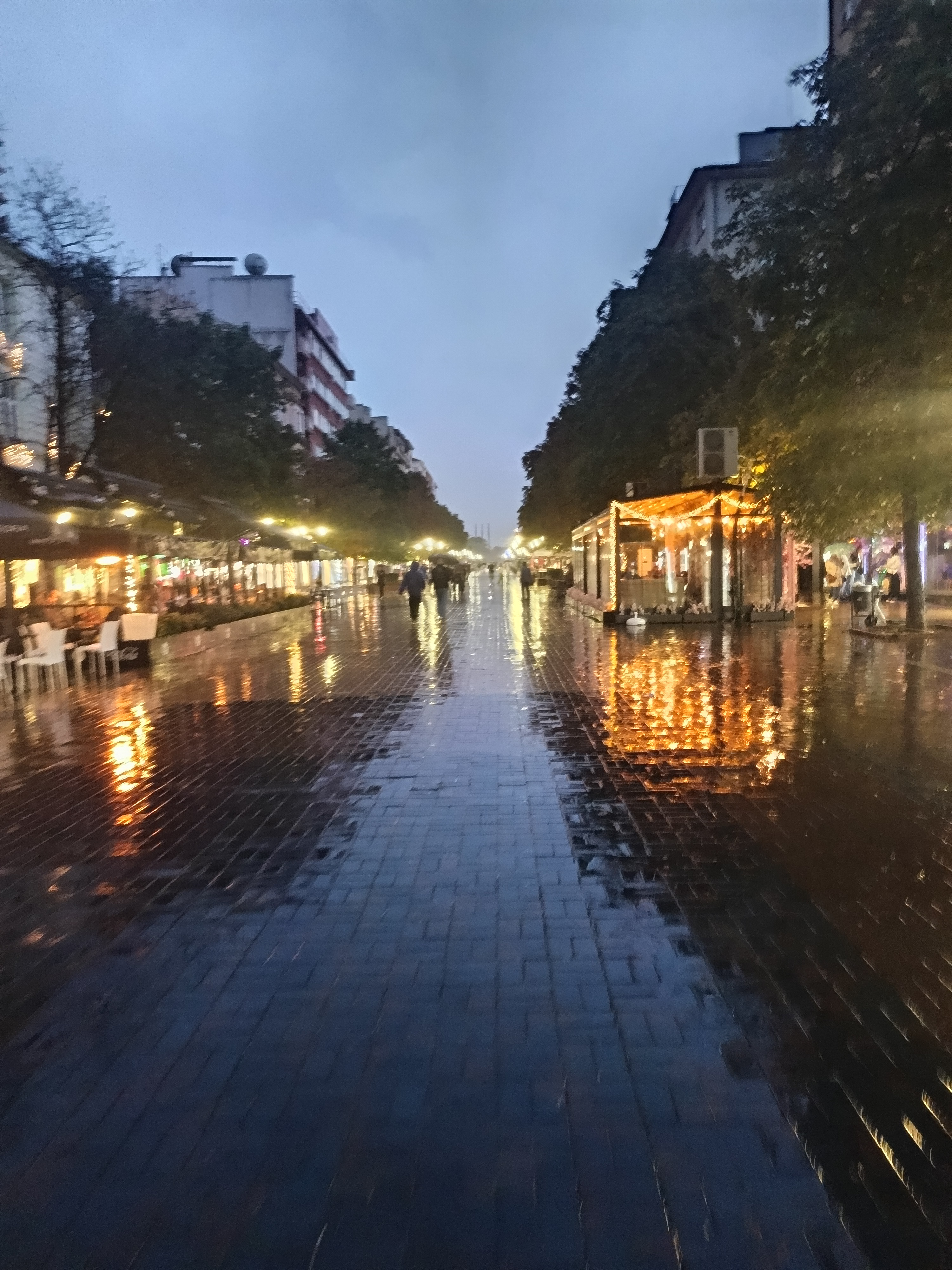 Rainy Day in Sofia